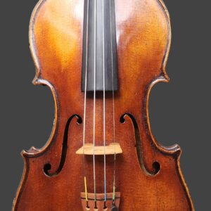 Andrea Postacchini Reproduction