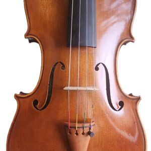 Guseppe Stefanini Viola