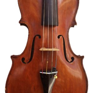 Giuseppe Nupieri Viola